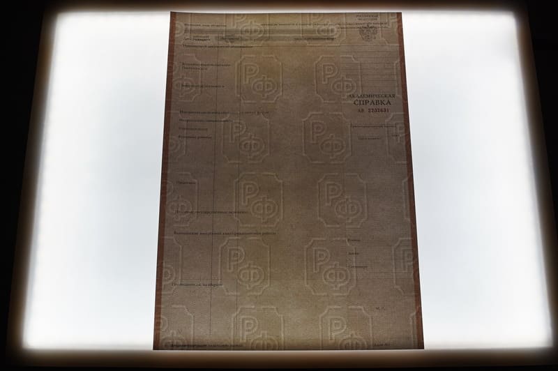 Купить Академическая справка 2010-2011 года в Волгограде