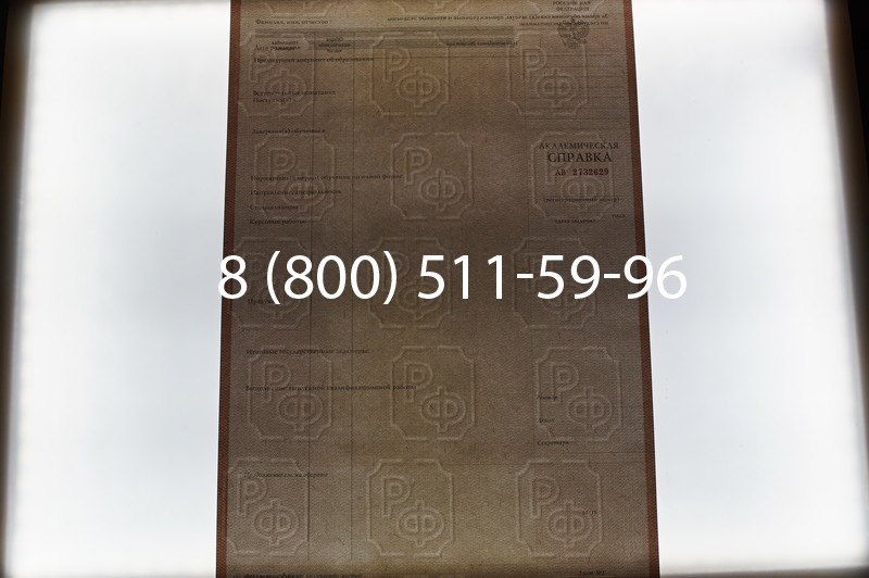 Купить Академическая справка 1996-2009 года в Волгограде
