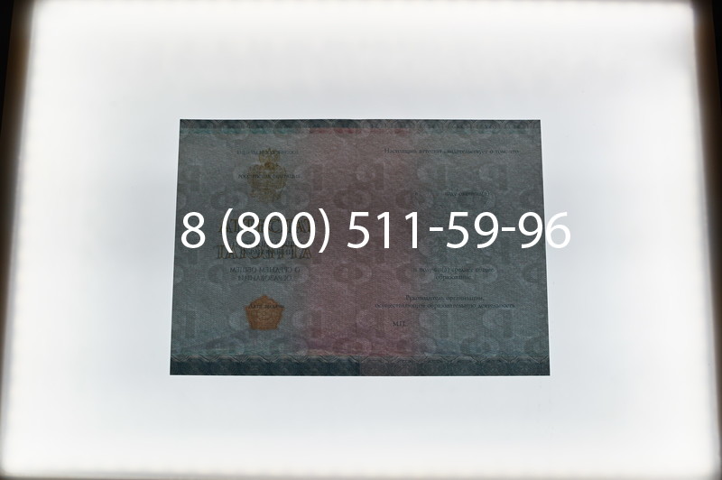 Купить Аттестат вечерней школы в Волгограде