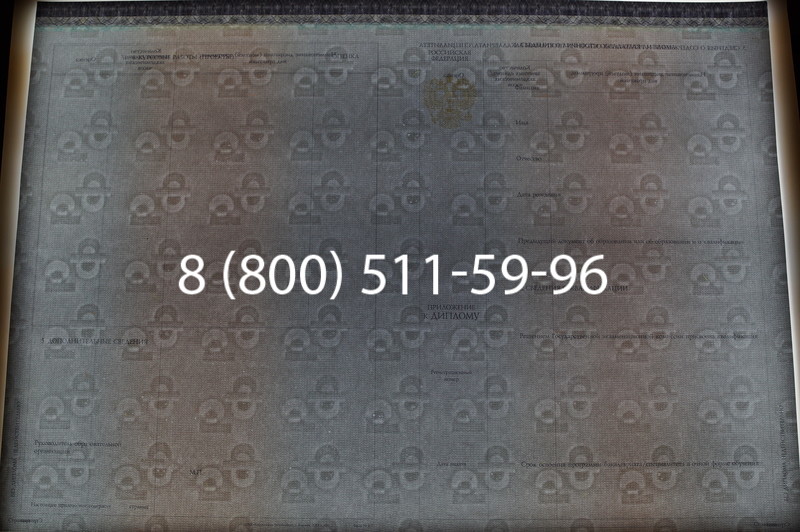 Заказать Диплом бакалавра (Киржач) 2014-2026 года в Волгограде