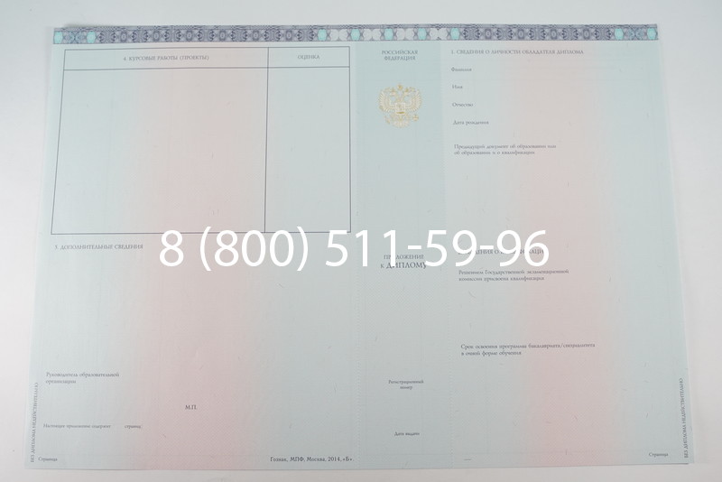 Диплом бакалавра 2014-2026 года в Волгограде