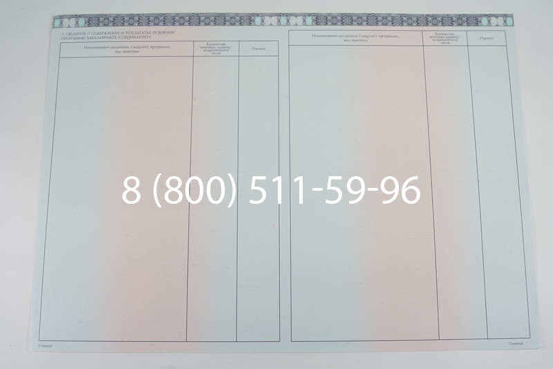 Диплом бакалавра 2014-2026 года в Волгограде