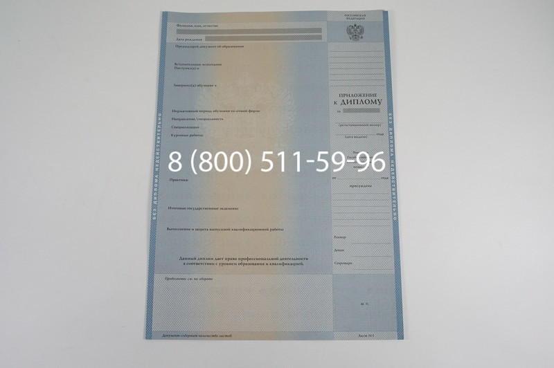 Заказать Диплом бакалавра 1997-2002 годов в Волгограде