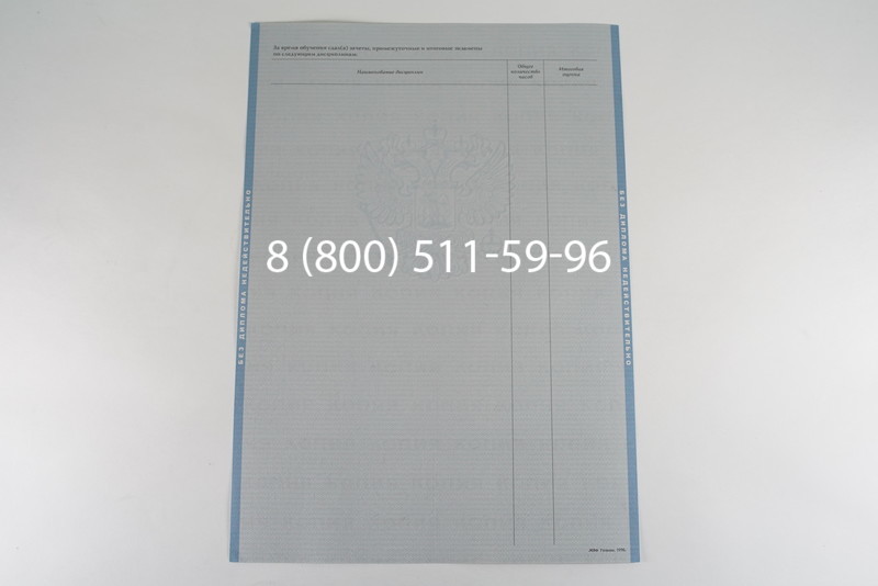 Диплом бакалавра 2003-2009 годов в Волгограде