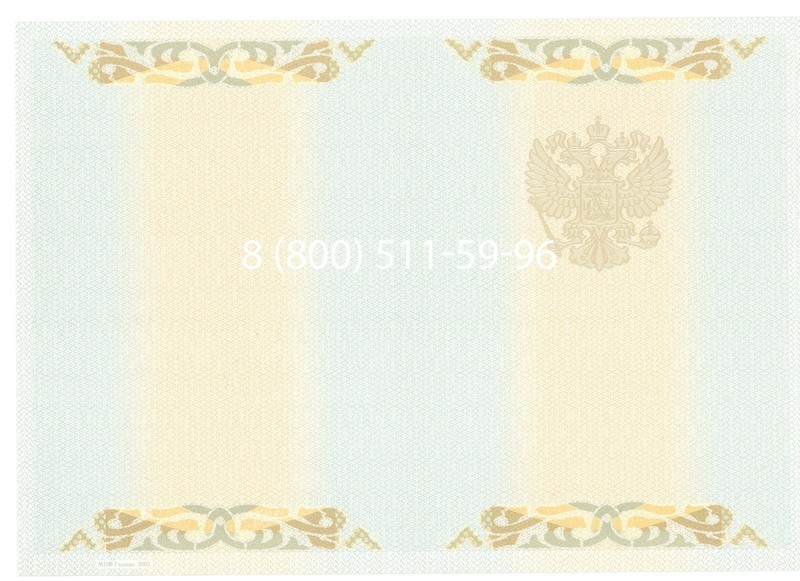 Купить Диплом бакалавра 2003-2009 годов в Волгограде