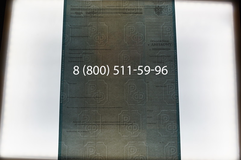 Заказать Диплом бакалавра 2003-2009 годов в Волгограде