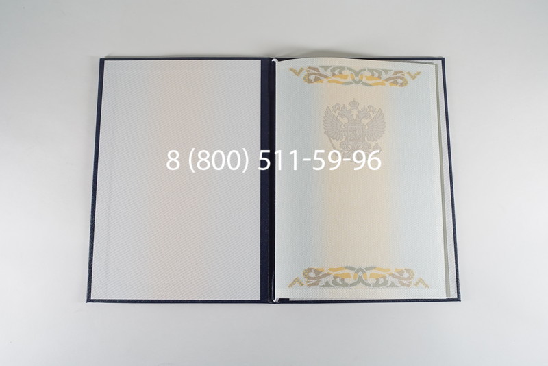 Диплом бакалавра 2003-2009 годов в Волгограде