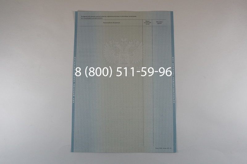 Диплом бакалавра 2012-2013 годов в Волгограде