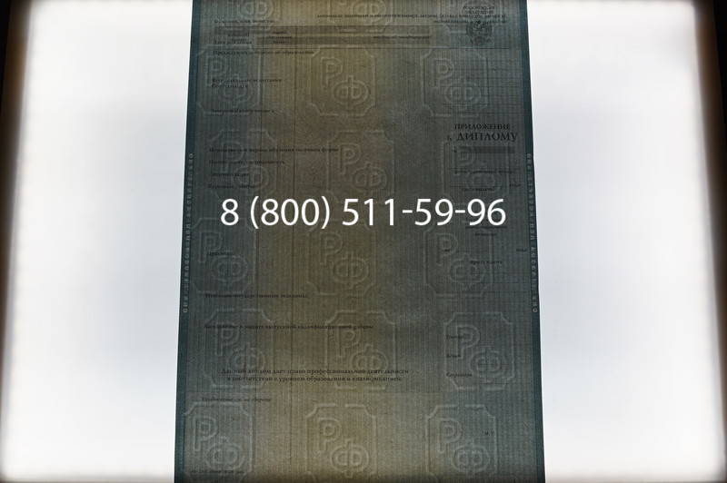 Заказать Диплом бакалавра 2012-2013 годов в Волгограде