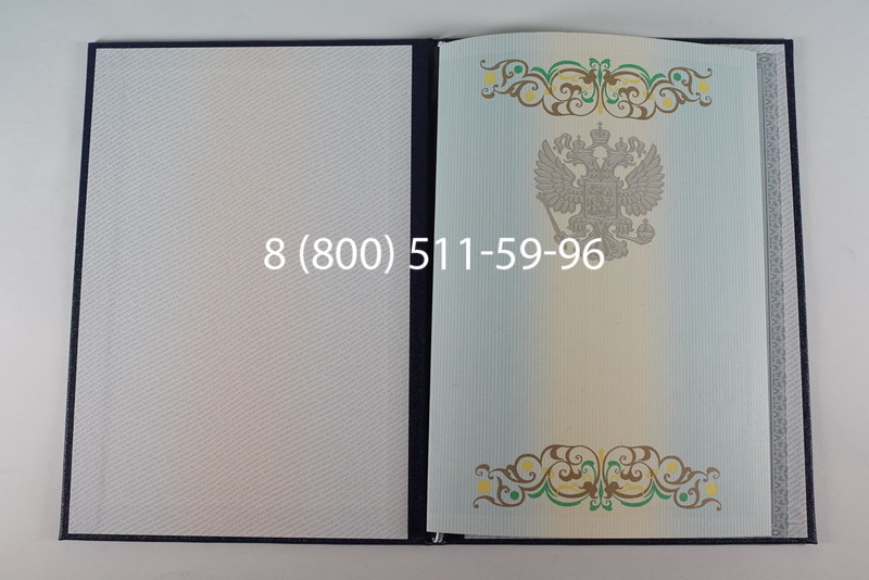 Диплом бакалавра 2012-2013 годов в Волгограде