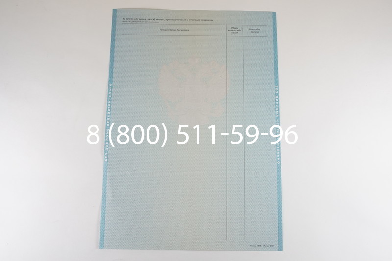 Диплом бакалавра 2010-2011 годов в Волгограде