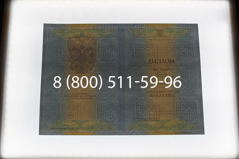 Заказать Диплом бакалавра 2010-2011 годов в Волгограде