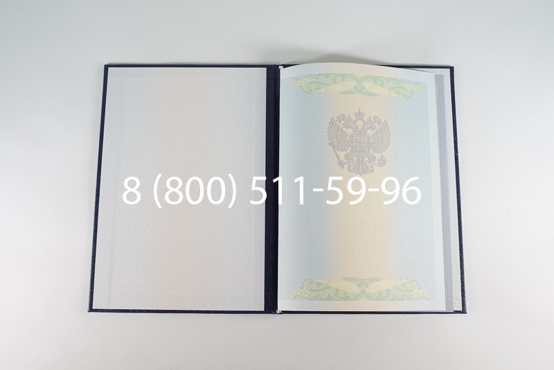 Диплом бакалавра 2010-2011 годов в Волгограде