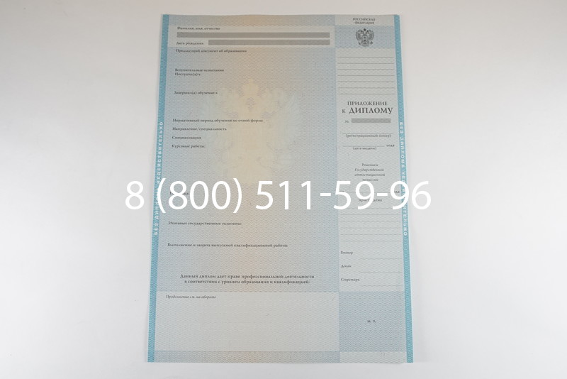 Диплом бакалавра 2010-2011 годов в Волгограде
