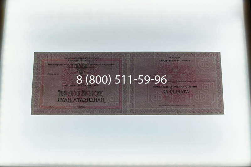 Заказать Диплом кандидата наук 2010 в Волгограде