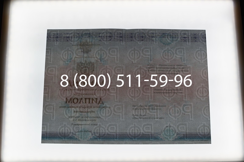 Заказать Диплом колледжа 2014-2026 года  в Волгограде