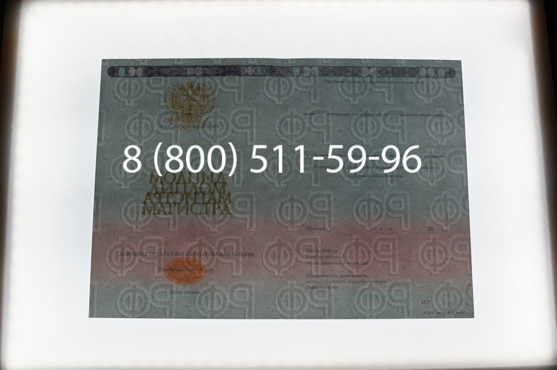 Заказать Диплом магистра 2014-2026 года в Волгограде