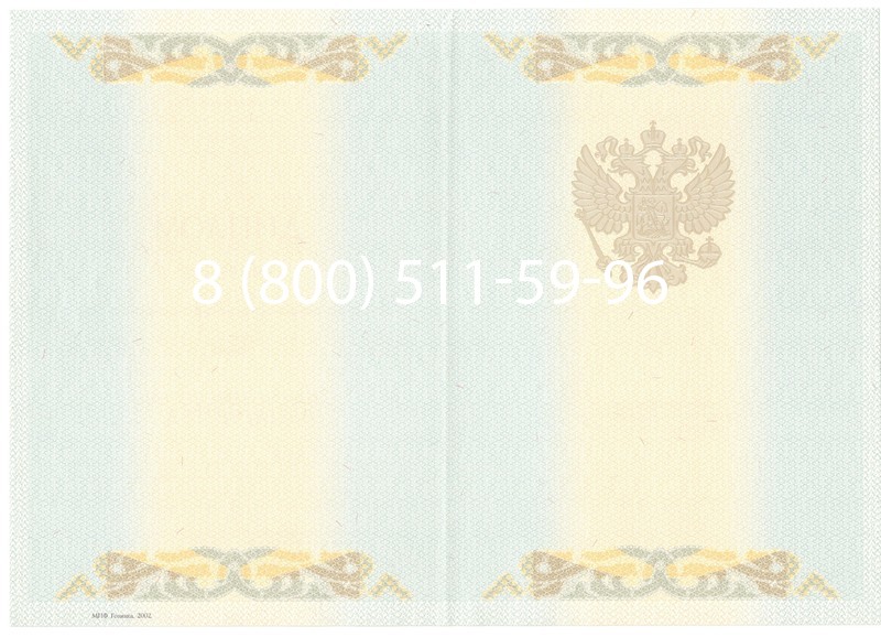 Купить Диплом магистра 2003-2009 годов в Волгограде