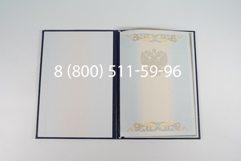 Диплом магистра 2003-2009 годов в Волгограде