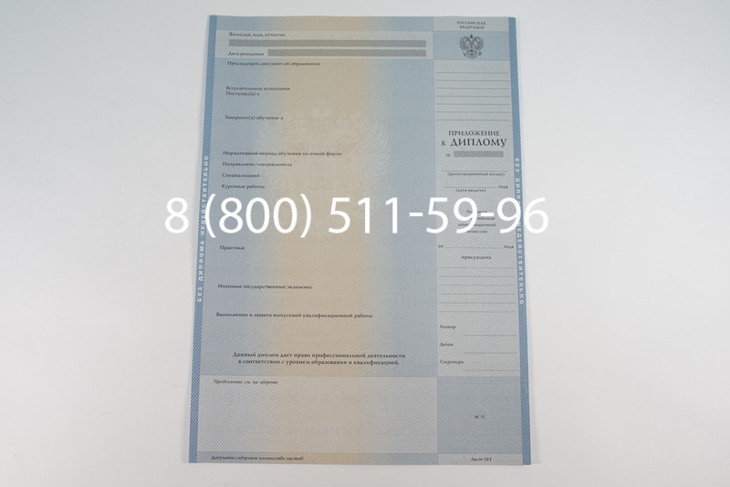 Диплом магистра 2003-2009 годов в Волгограде