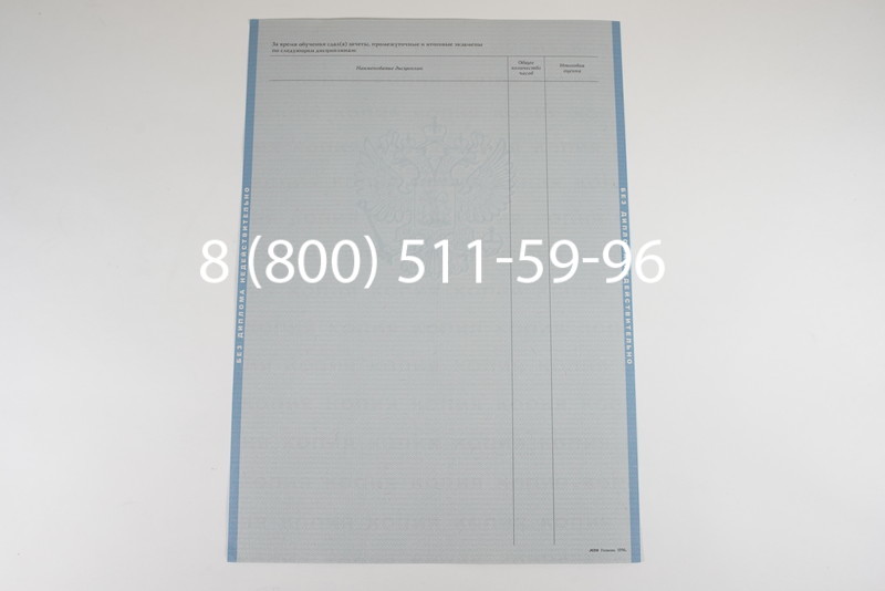 Диплом магистра 2003-2009 годов в Волгограде