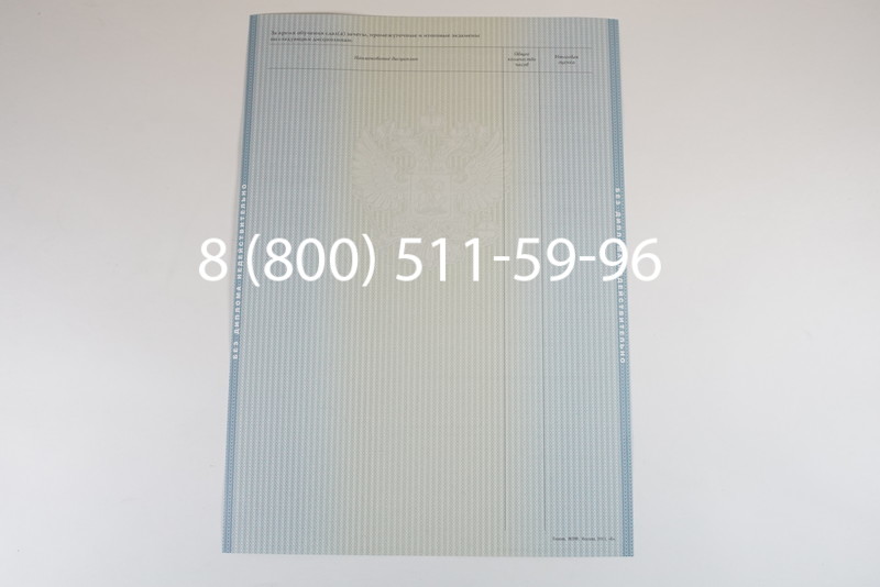 Диплом магистра 2012-2013 годов в Волгограде