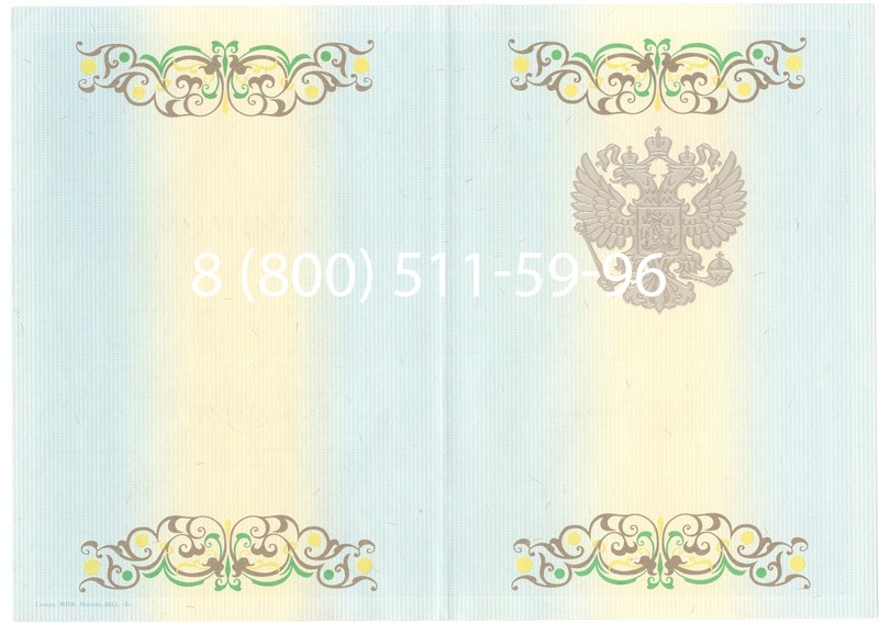 Заказать Диплом магистра 2012-2013 годов в Волгограде