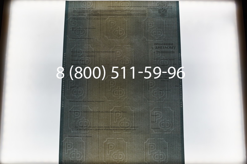 Заказать Диплом магистра 2012-2013 годов в Волгограде