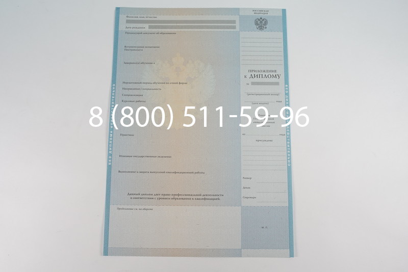 Диплом магистра 2010-2011 годов в Волгограде