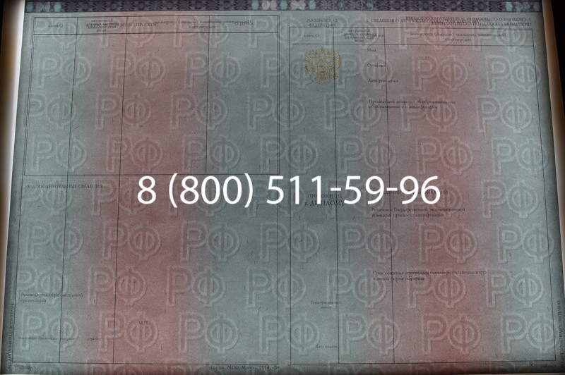 Заказать Диплом о высшем образовании 2014-2026 годов в Волгограде
