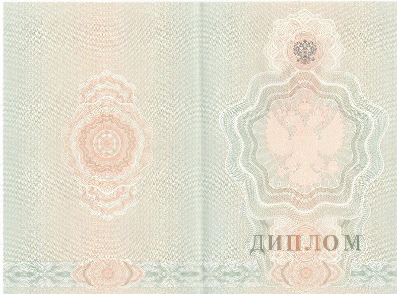 Купить Диплом о начальном образовании  2007-2009 годов в Волгограде