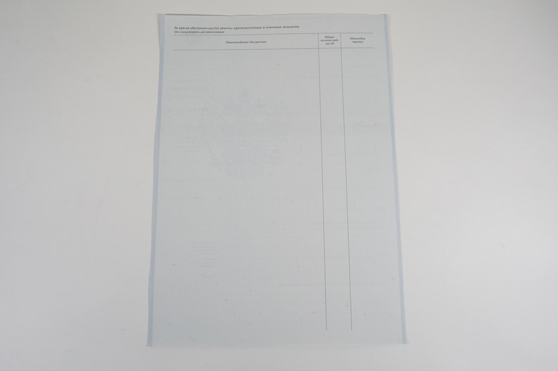 Диплом о начальном образовании  2007-2009 годов в Волгограде
