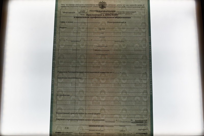 Заказать Диплом о начальном образовании  2010-2026 годов в Волгограде