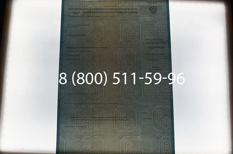 Заказать Диплом о высшем образовании 2010-2011 годов в Волгограде