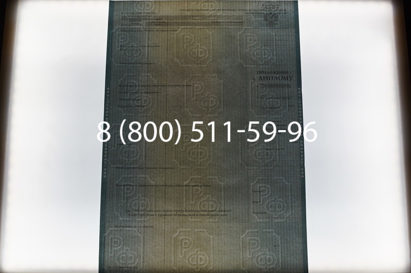 Заказать Диплом о высшем образовании 2012-2013 годов в Волгограде