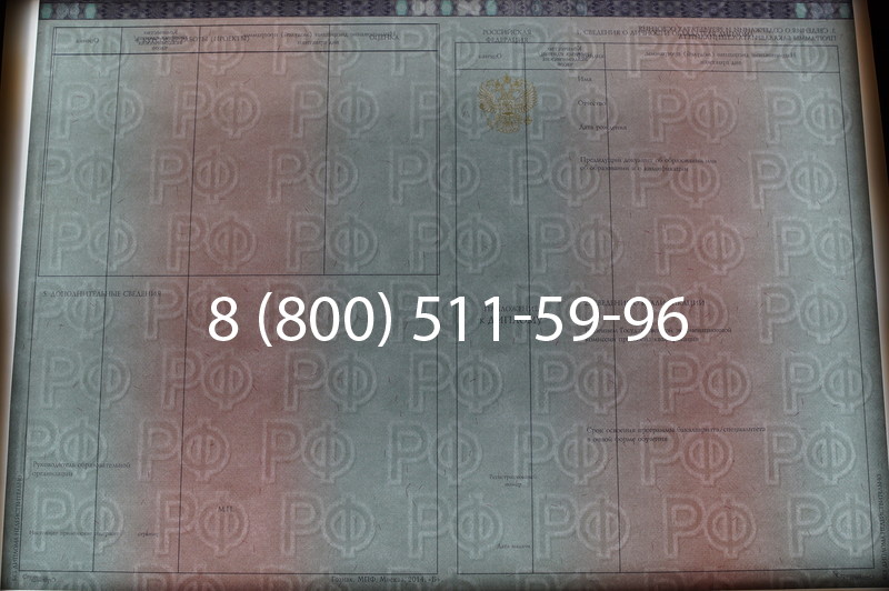 Заказать Диплом специалиста 2014-2026 года в Волгограде