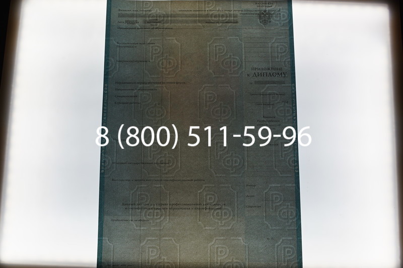 Заказать Диплом специалиста 2010-2011 годов в Волгограде