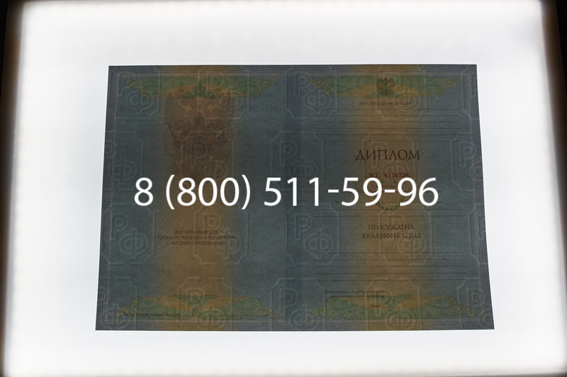 Заказать Диплом специалиста 2010-2011 годов в Волгограде