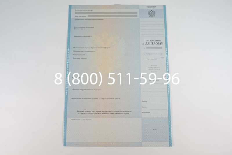 Диплом специалиста 2010-2011 годов в Волгограде