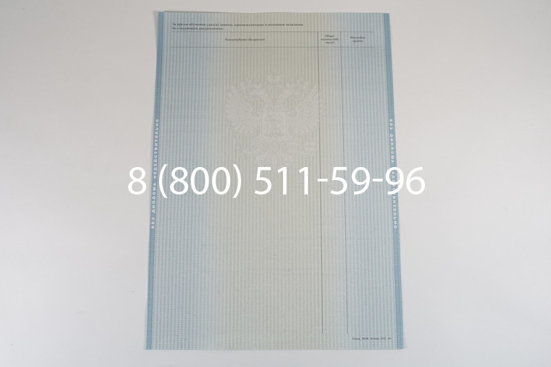 Диплом специалиста 2012-2013 годов в Волгограде