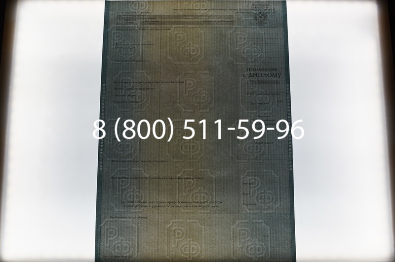 Заказать Диплом специалиста 2012-2013 годов в Волгограде