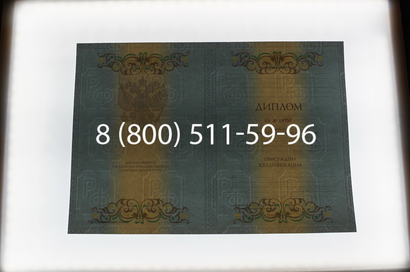 Заказать Диплом специалиста 2012-2013 годов в Волгограде