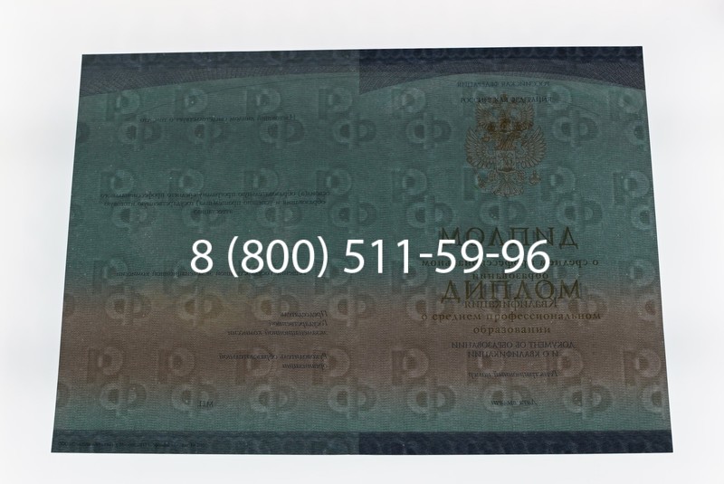 Диплом техникума (Спецбланк) 2014-2026 года в Волгограде