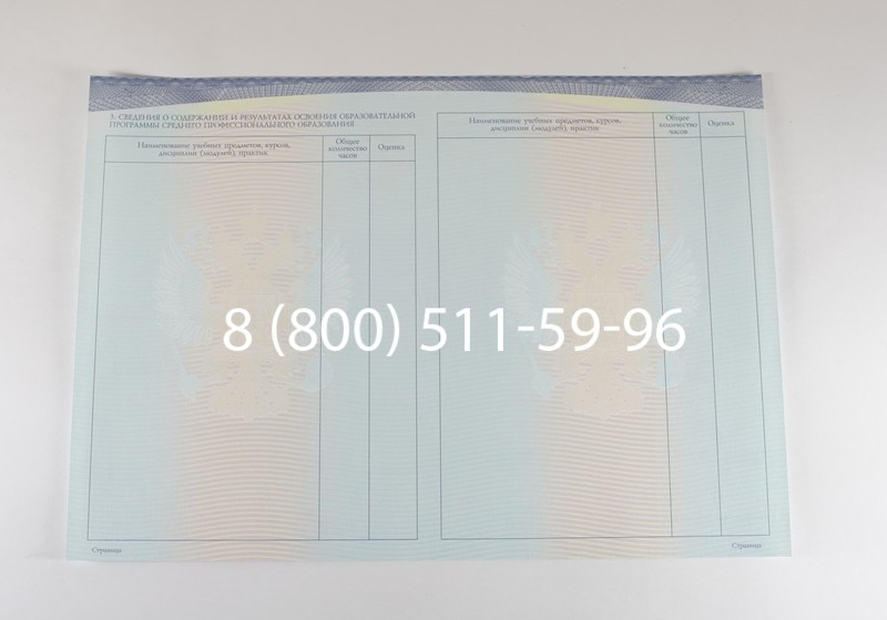 Диплом техникума (Спецбланк) 2014-2026 года в Волгограде