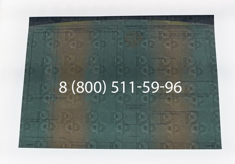 Диплом техникума (Спецбланк) 2014-2026 года в Волгограде