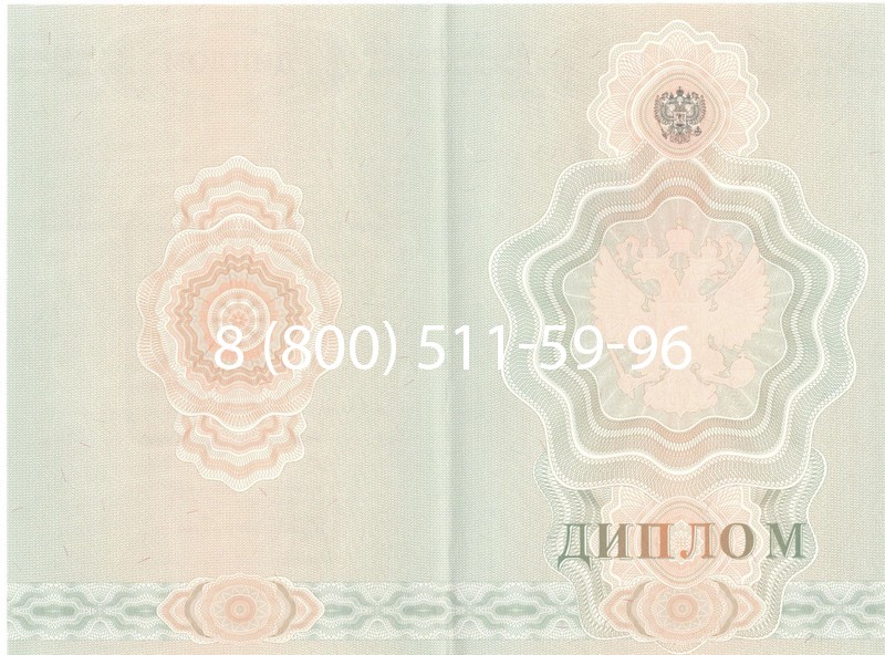 Купить Диплом училища 2007-2009 годов в Волгограде