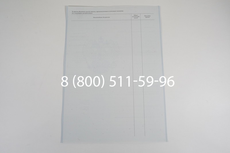 Диплом училища 2007-2009 годов в Волгограде