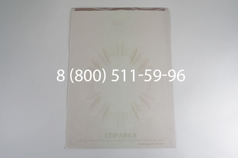 Заказать Справка об обучении в Волгограде