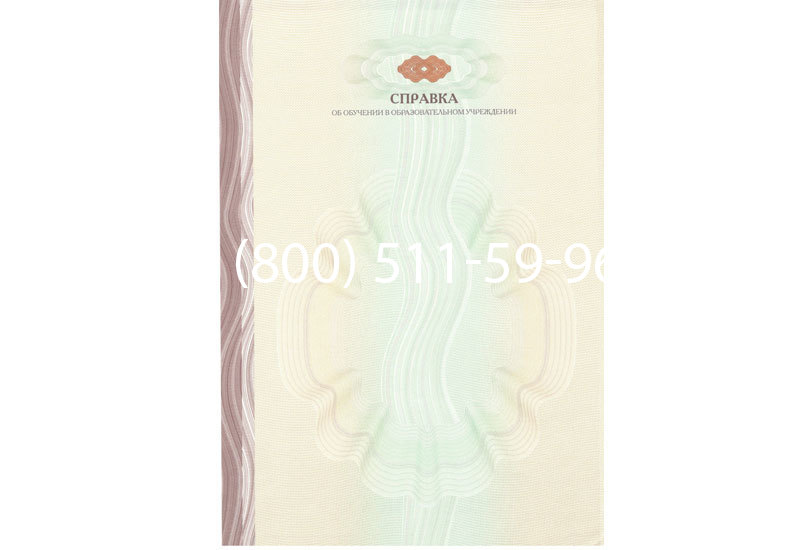 Купить Справка об обучении в Волгограде